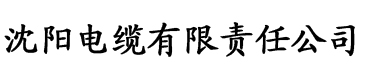 无限世界穿梭之旅电缆厂logo